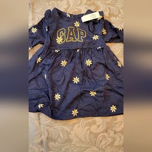 Gap Factory Babygirl Embroidered Dress